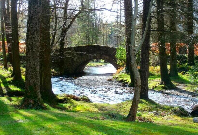 Номер Стандарт, Brooklodge & Macreddin Village