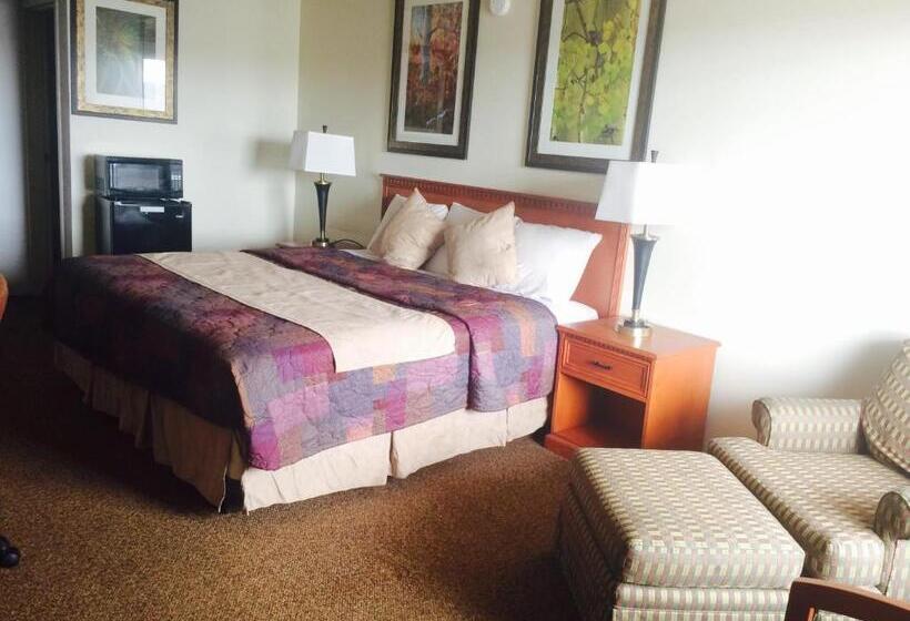 スタンダードシングルルーム, Budget Host Platte Valley Inn