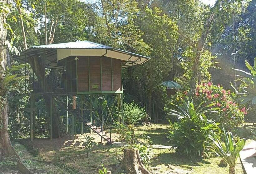 Номер Стандарт с Террасой, Finca Valeria Treehouses Glamping