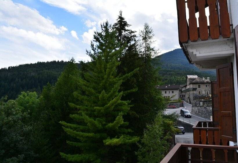 اتاق یک تخته با تراس, Albergo Alpina