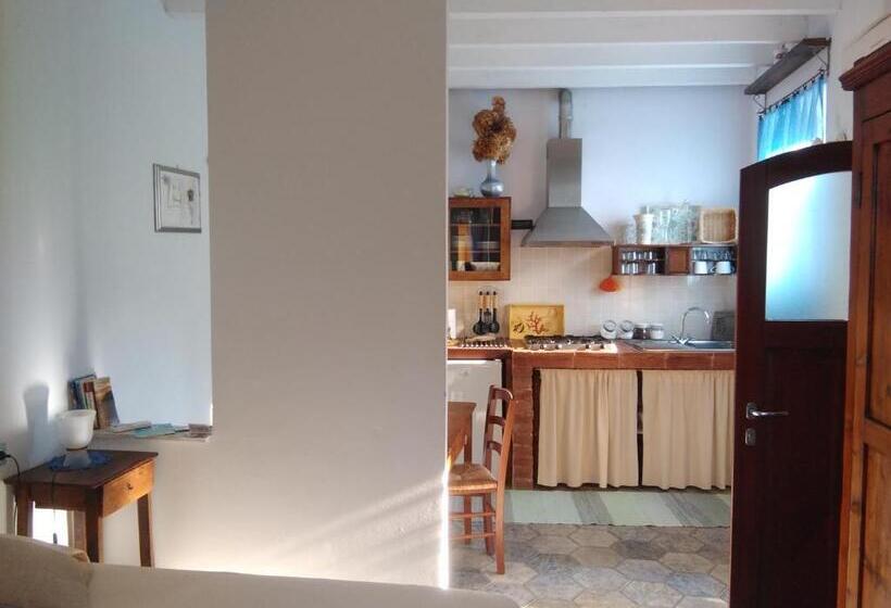 Студио Стандарт Вид на Сад, Sole Terra Mare