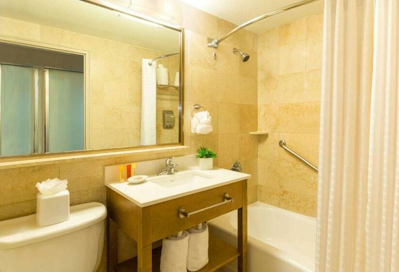 带2个双人床的标准工作室, Best Western Plus Atlantic Beach Resort