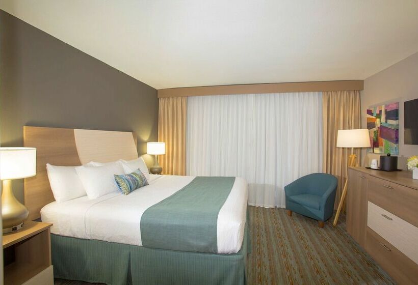 标准间带双人床, Best Western Plus Atlantic Beach Resort