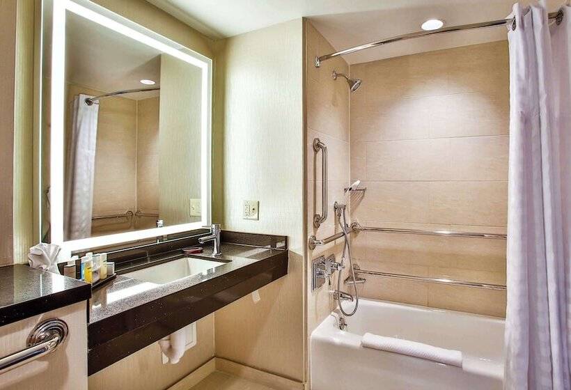 סוויטה מותאמת לאדם עם מוגבלויות, Embassy Suites By Hilton Chicago Downtown Magnificent Mile