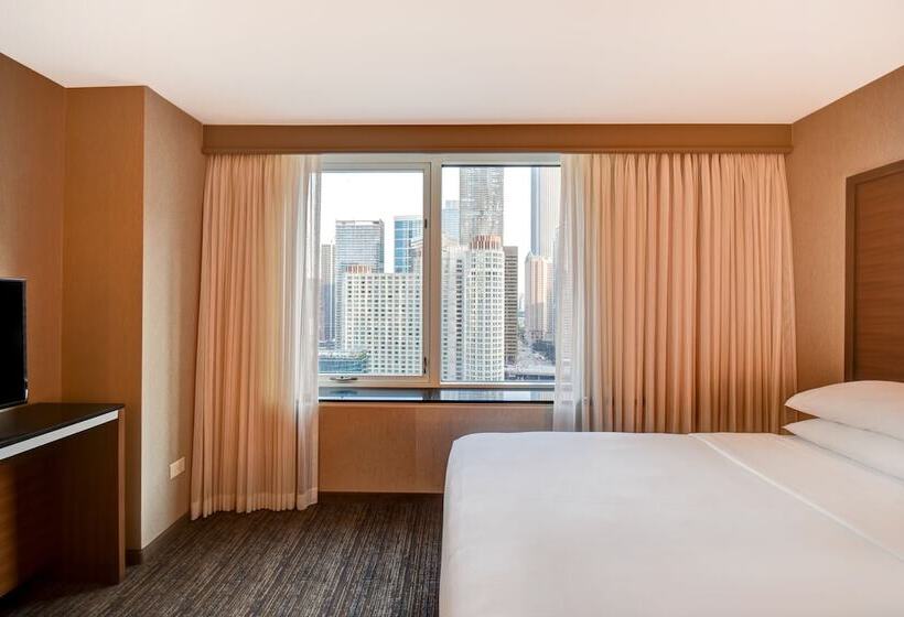 סוויטה עם נוף לעיר, Embassy Suites By Hilton Chicago Downtown Magnificent Mile