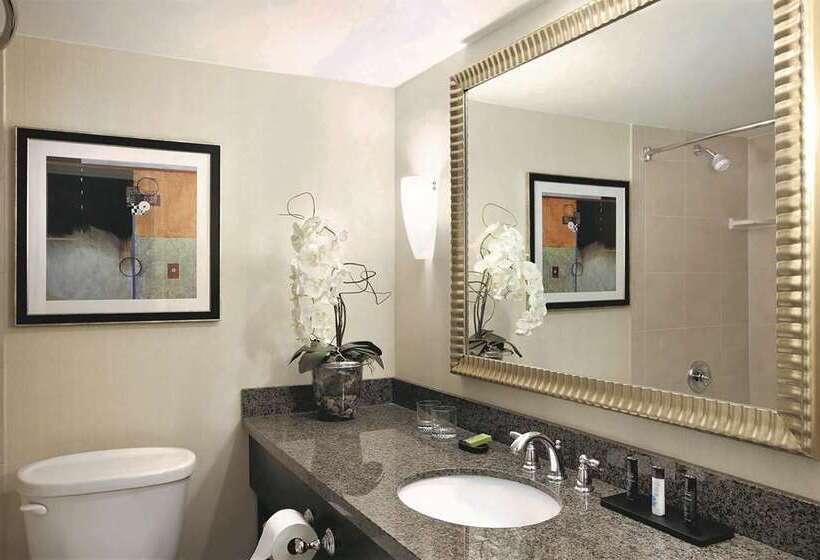 סוויטת פרמיום, Embassy Suites By Hilton Chicago Downtown Magnificent Mile