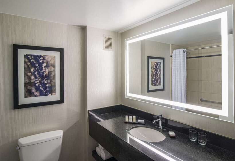 סוויטה, Embassy Suites By Hilton Chicago Downtown Magnificent Mile