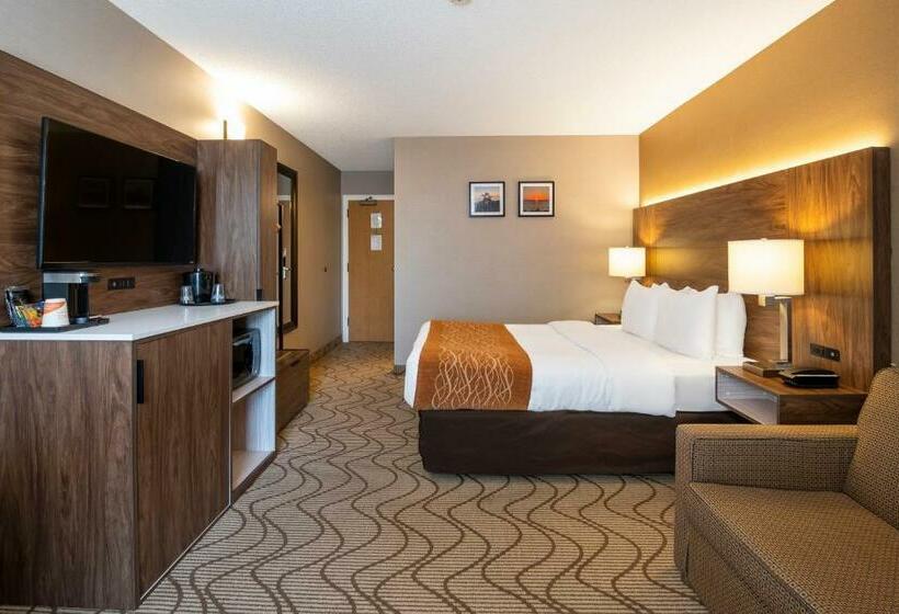 Стандартный Номер Нижний Этаж, Comfort Inn Lakeshore