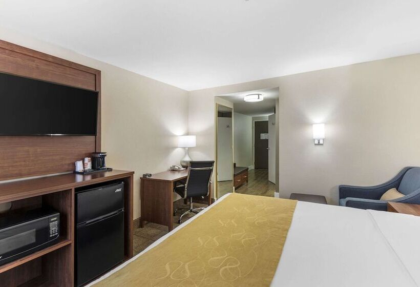 Люкс, Comfort Suites