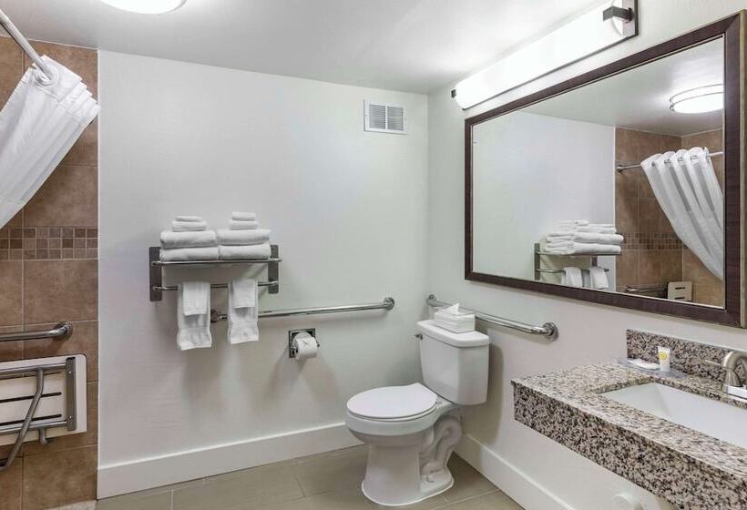 Люкс Адаптированный для Инвалидов, Comfort Suites