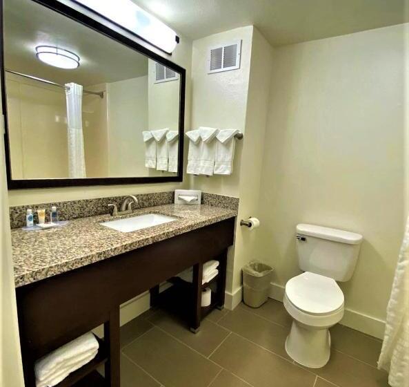 Люкс Кровать Кинг, Comfort Suites