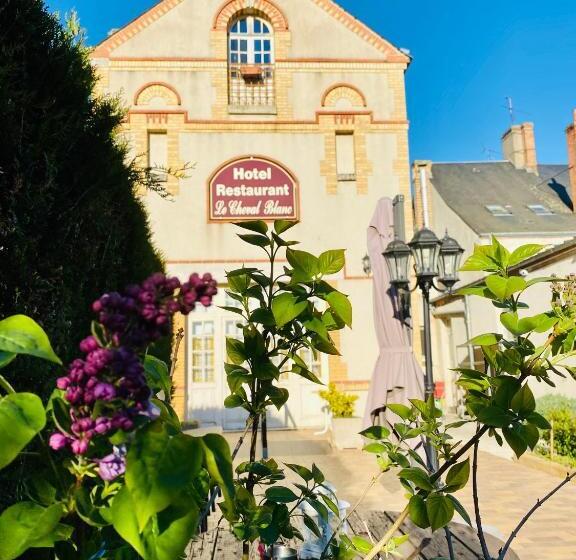 Номер Стандарт, Le Cheval Blanc