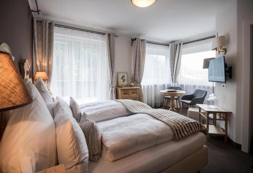 Номер Стандарт Вид на Горы, Chalet Hotel Hartmann   Adults Only