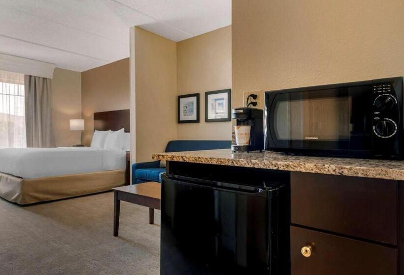 سوئیت با تخت بزرگ, Comfort Suites Near Universal Orlando Resort