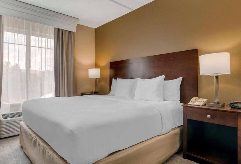 اتاق استاندارد با تخت بزرگ برای معلولان, Comfort Suites Near Universal Orlando Resort