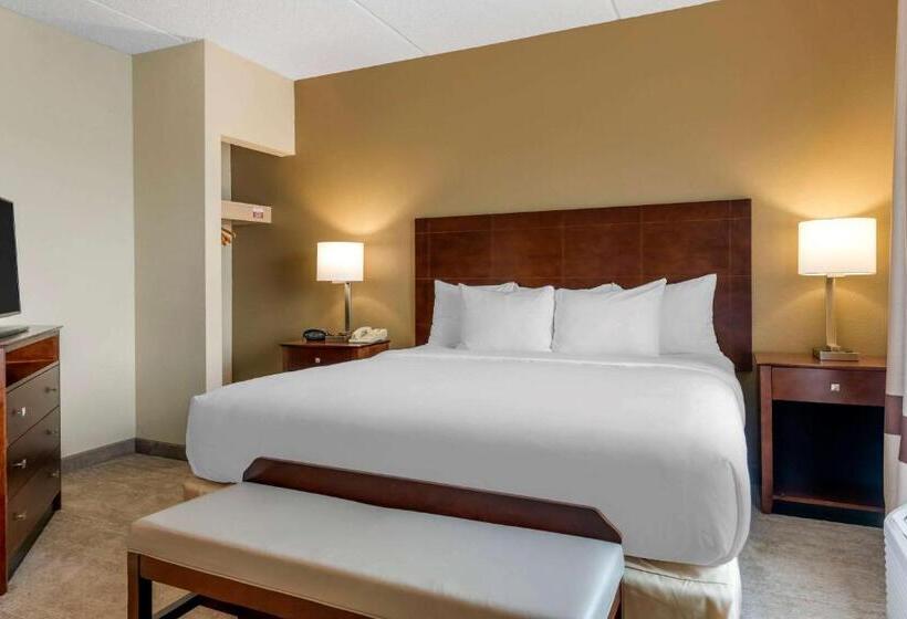سوئیت با تخت بزرگ, Comfort Suites Near Universal Orlando Resort