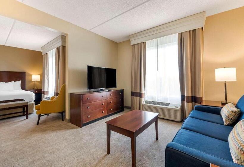 سوئیت با تخت بزرگ, Comfort Suites Near Universal Orlando Resort