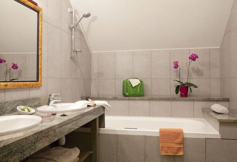 Номер Superior, Logis Hôtel ô En Couleur