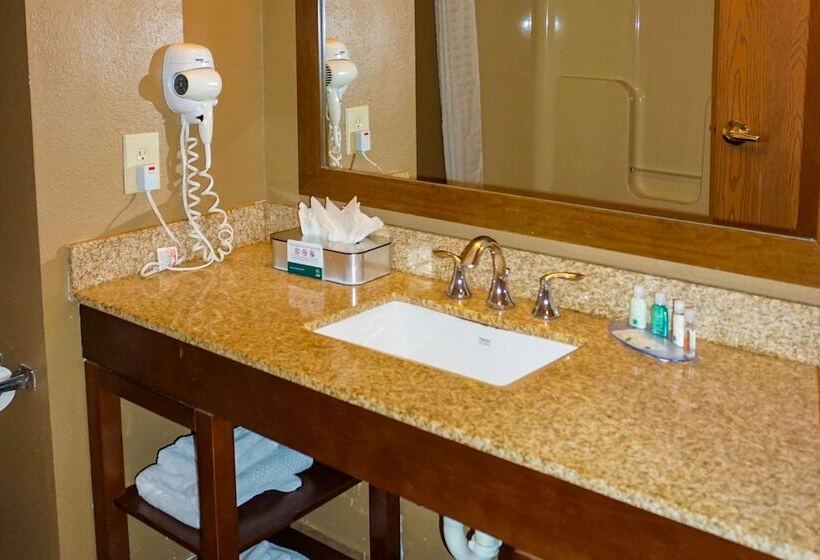 Люкс, Quality Inn & Suites Georgetown Seaford