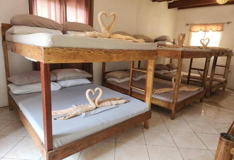 Семейное Студио, Big Bamboo Beach Resort Sipalay
