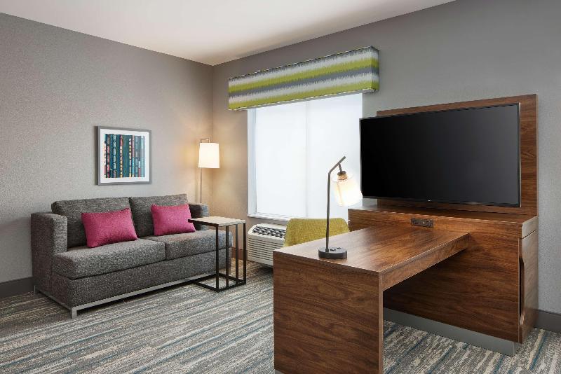 장애인을 위한 킹사이즈 침대 스탠다드 룸, Hampton Inn & Suites Franklin Indianapolis