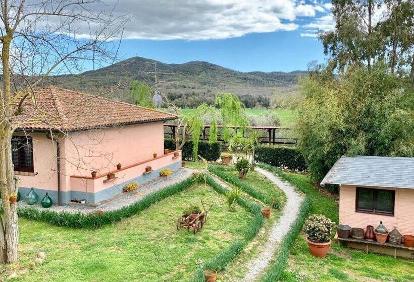 Апартаменты 1 Спальня Вид на Бассейн, Agriturismo La Talpa
