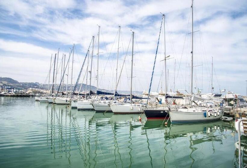 Номер Стандарт, Mare D’amare