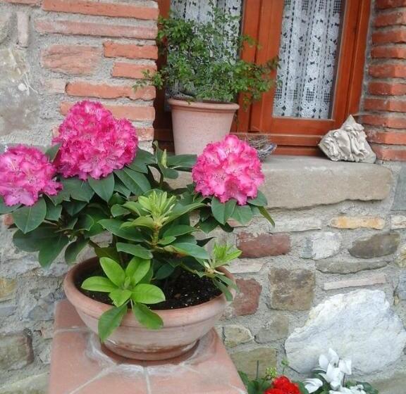 Вилла с 1 спальней и бассейном, Agriturismo Podere Terrena