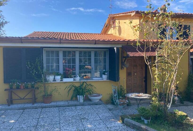 דירת חדר דלוקס, Home Sweet Home