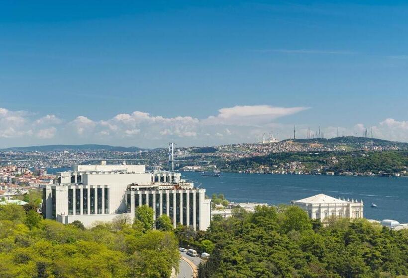 اتاق استاندارد با چشم‌انداز پارک, The Ritz Carlton, Istanbul At The Bosphorus