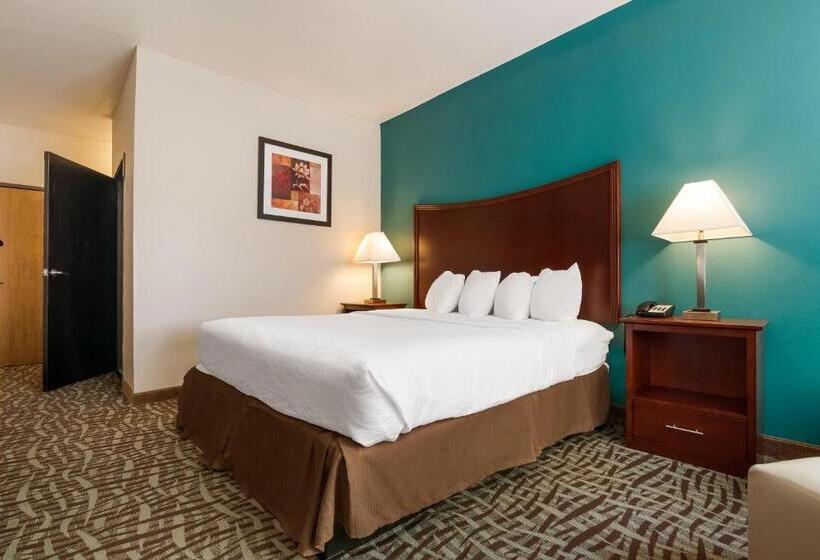 Стандартный Номер Кровать Кинг, Surestay Plus Hotel By Best Western Topeka