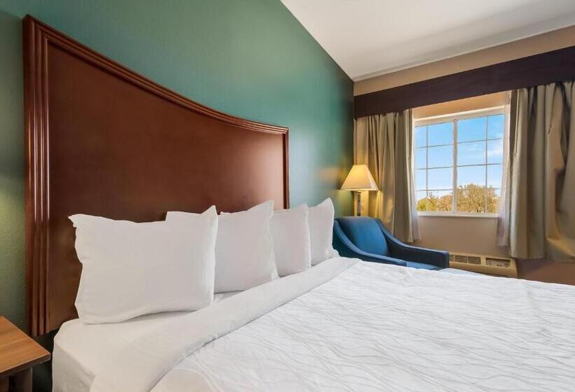 Стандартный Номер Кровать Кинг, Surestay Plus Hotel By Best Western Topeka