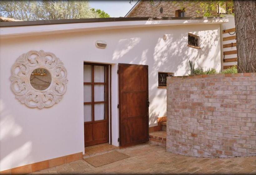 Номер Стандарт, Casale Civetta