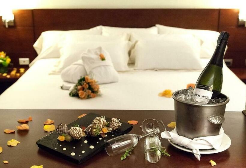 스위트 킹사이즈 침대, Radisson Bogota Metrotel