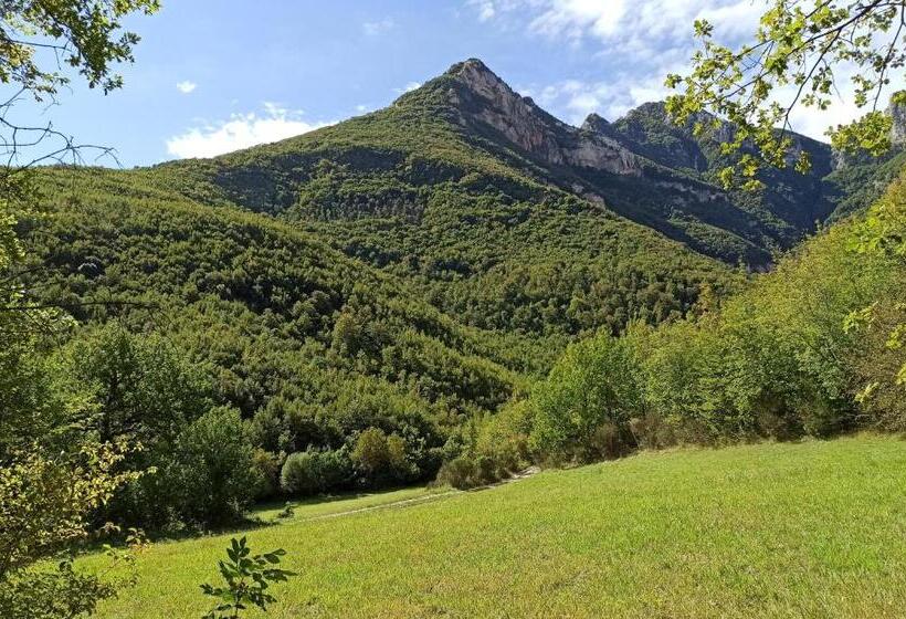 كوخ قياسي, Saecula Natural Village Experience