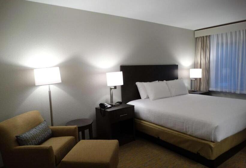 장애인을 위한 킹사이즈 침대 스탠다드 룸, Best Western Plus The Inn At Hells Canyon
