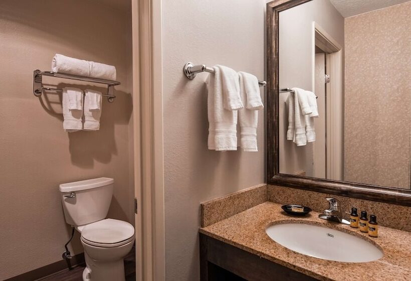 Номер Стандарт 2 Двуспальные Кровати, Best Western Plus Rivershore