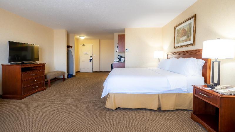 Стандартный Номер Кровать Кинг, Holiday Inn Express Hotel & Suites   Edmonton International Airport, An Ihg