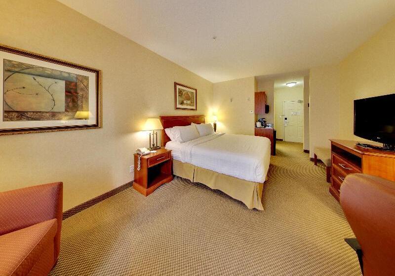 Стандартный Номер Кровать Кинг, Holiday Inn Express Hotel & Suites   Edmonton International Airport, An Ihg