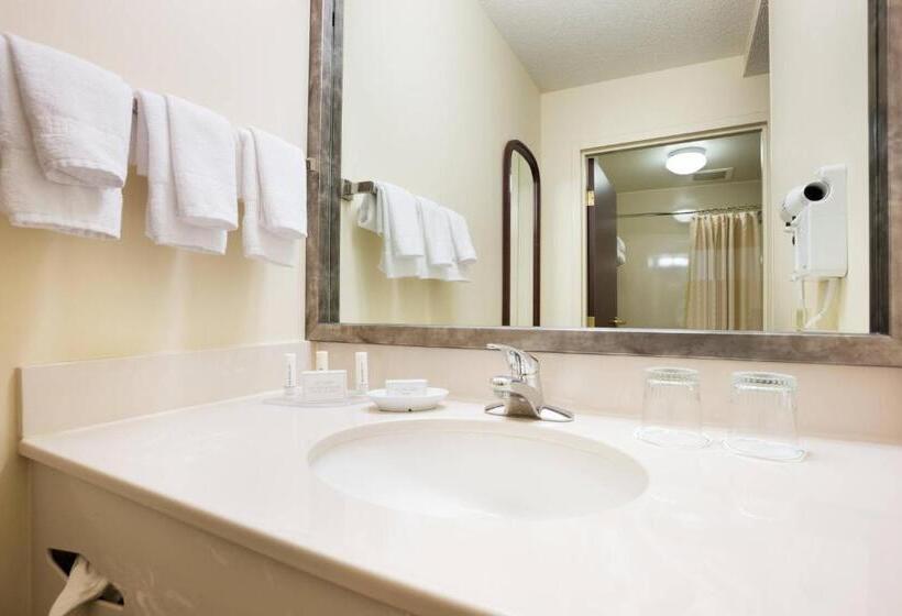 스탠다드 스튜디오 킹침대, Springhill Suites Minneapolis Eden Prairie