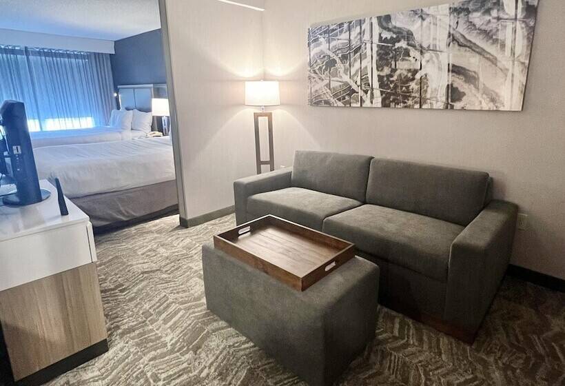 장애인을 위한 스위트, Springhill Suites Minneapolis Eden Prairie