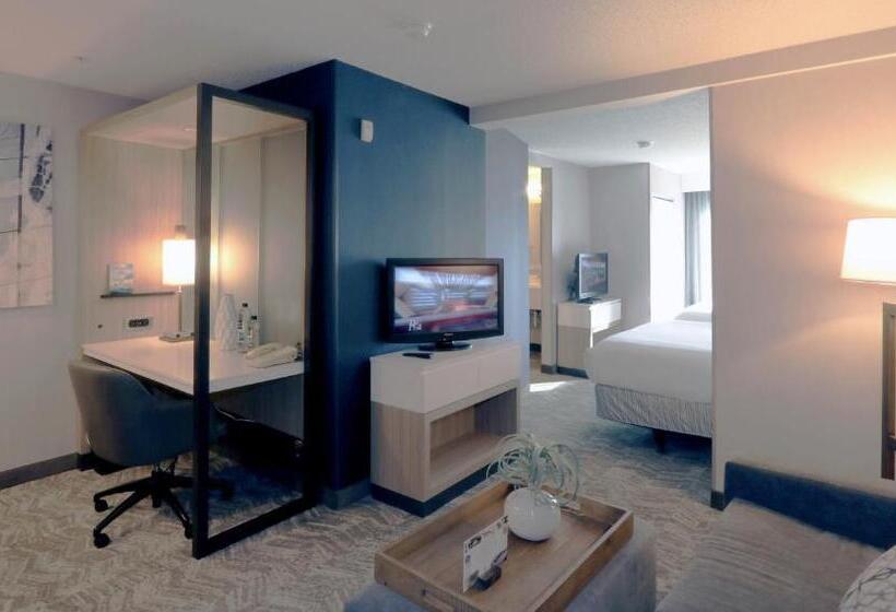 스탠다드 스튜디오, Springhill Suites Minneapolis Eden Prairie