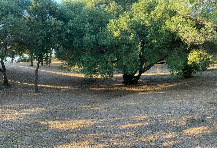 اتاق استاندارد, Li Paduleddi Country Guest House