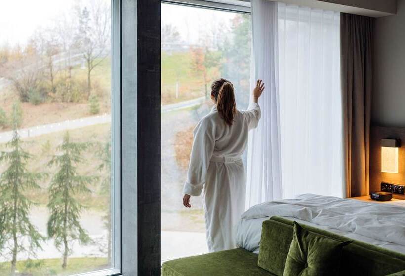 اتاق استاندارد با تخت دوبل و چشم‌انداز پارک, Hyatt Regency Zurich Airport Circle