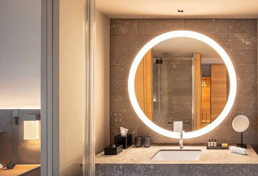 اتاق کلاب, Hyatt Regency Zurich Airport Circle