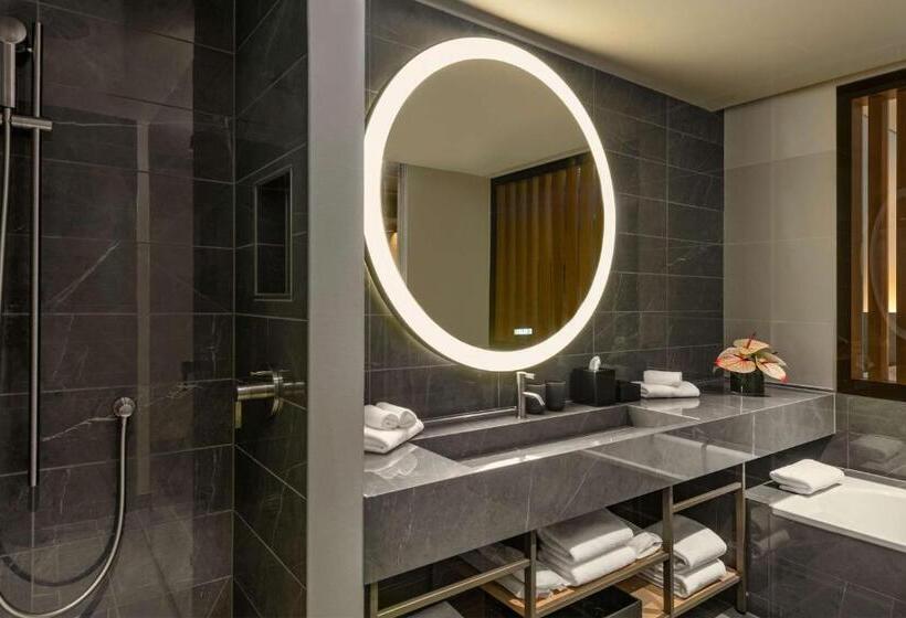 سوییت اجرایی, Hyatt Regency Zurich Airport Circle