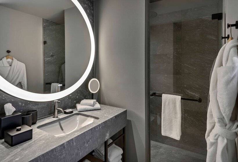 اتاق کلاب, Hyatt Regency Zurich Airport Circle