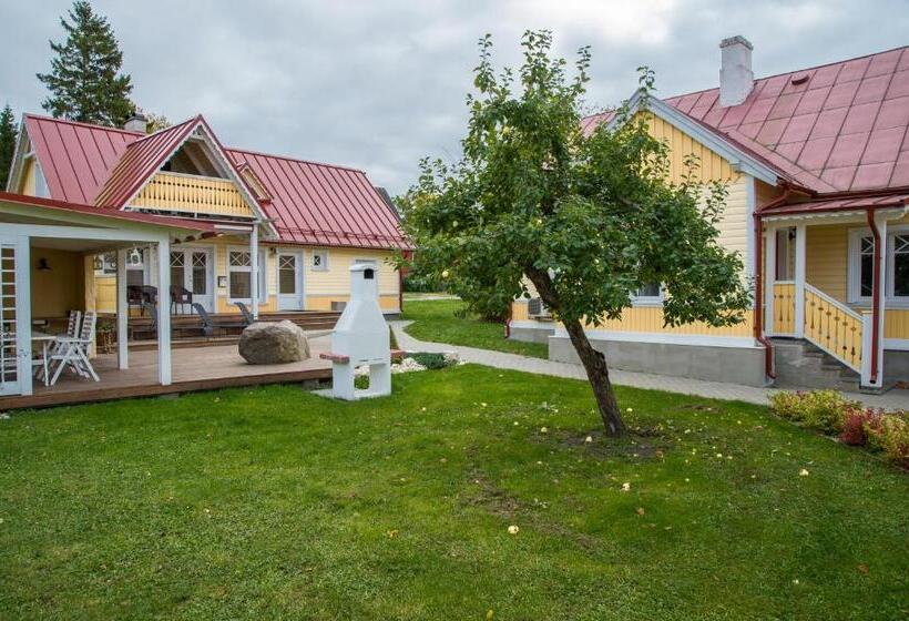 خانه 1 خوابه, Posti Hostel
