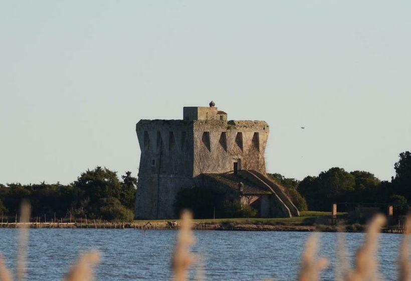 غرفة قياسية, La Mimosa