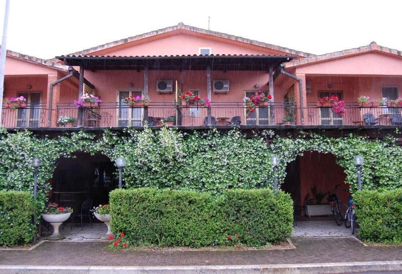 غرفة قياسية فردية, La Mimosa